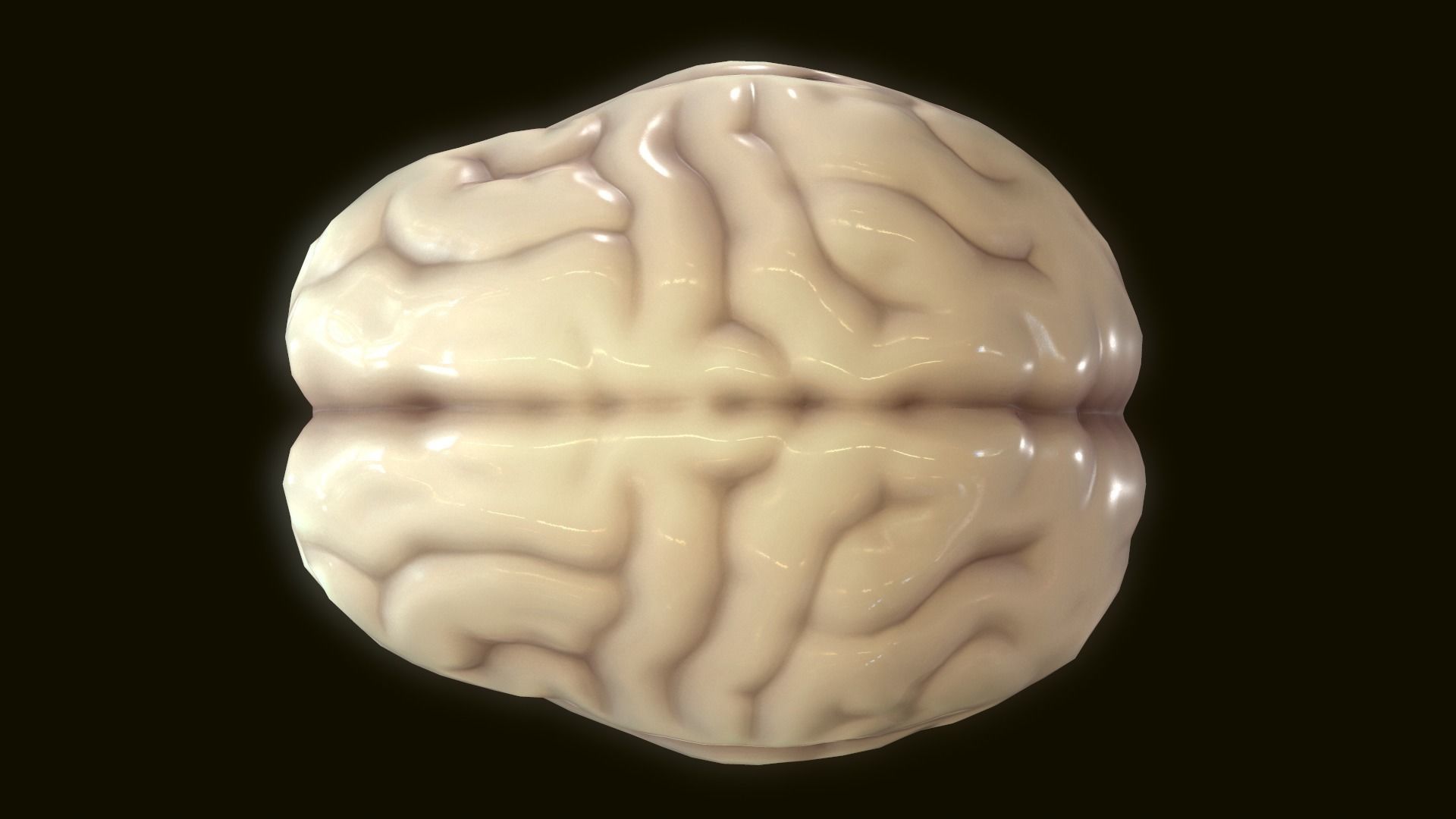 Human Brain 3D model_6