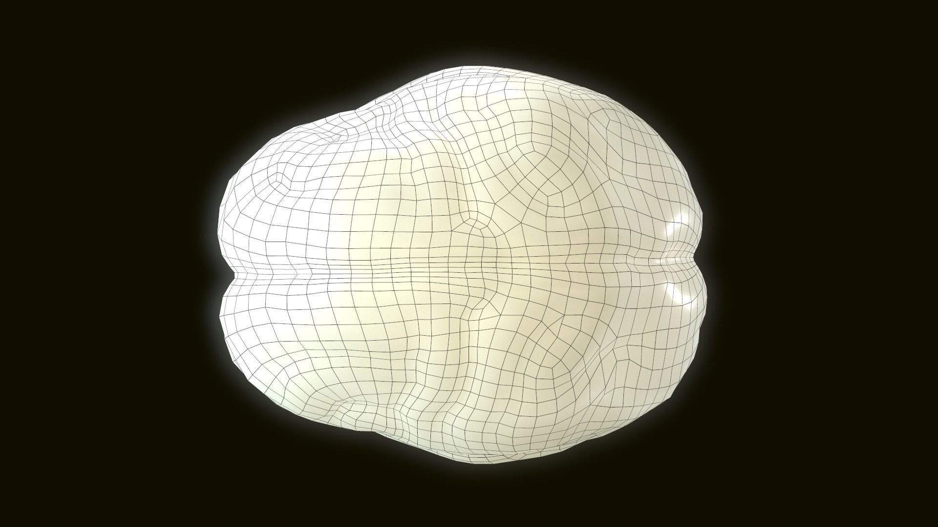 Human Brain 3D model_9