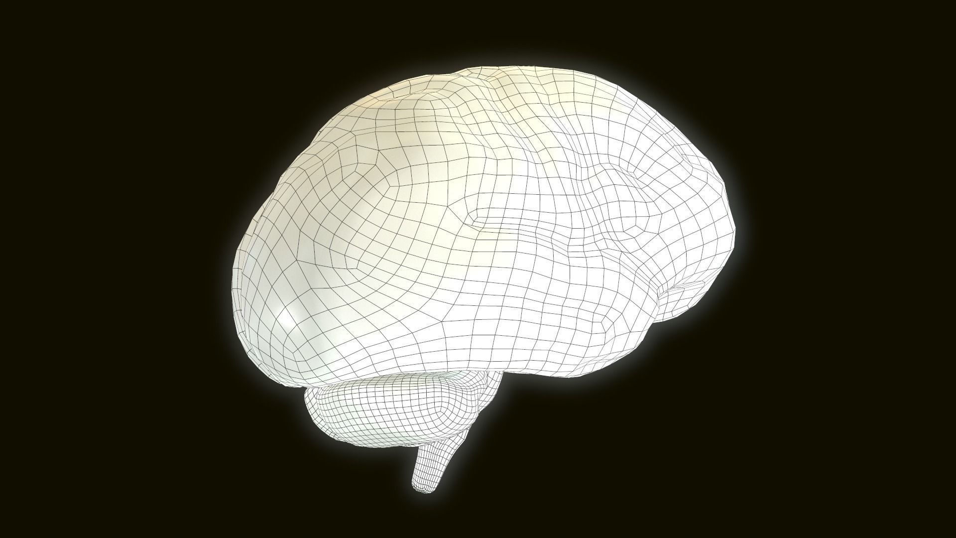 Human Brain 3D model_7