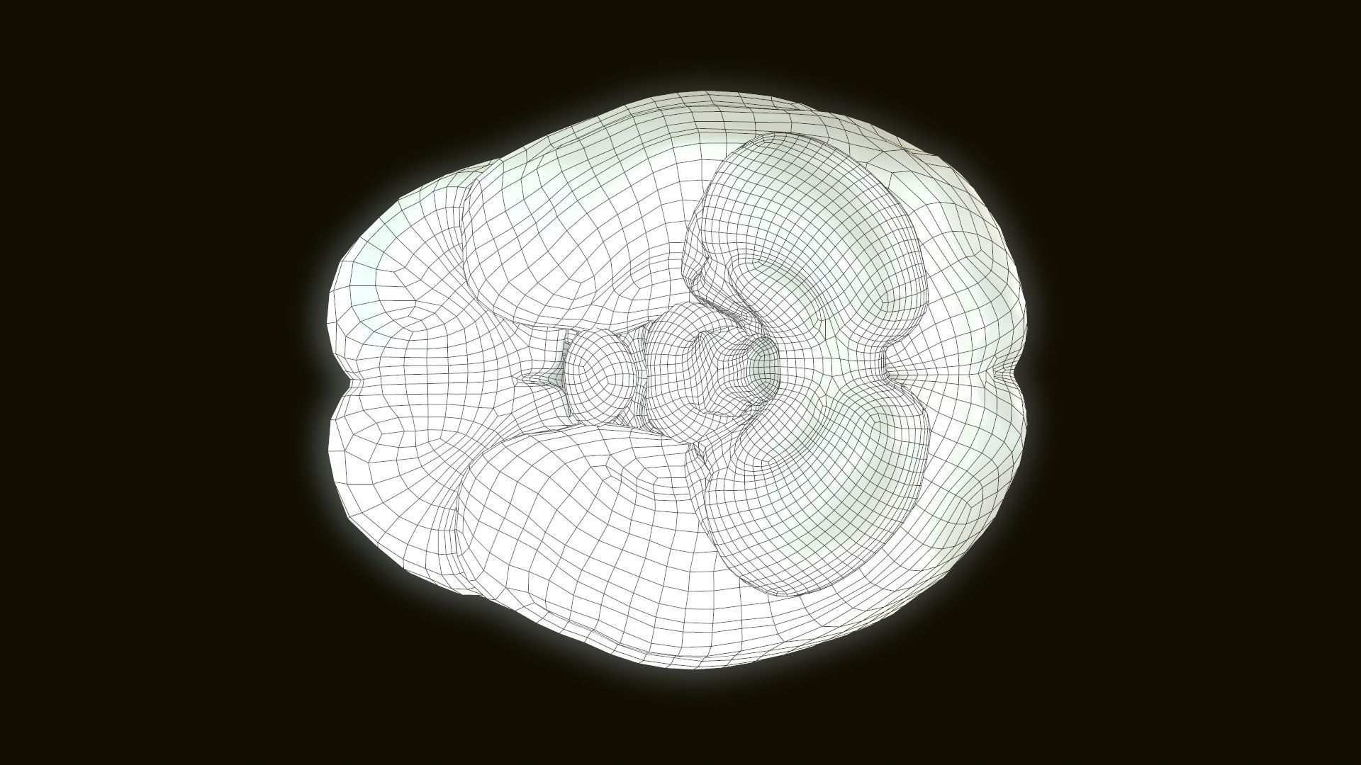 Human Brain 3D model_8