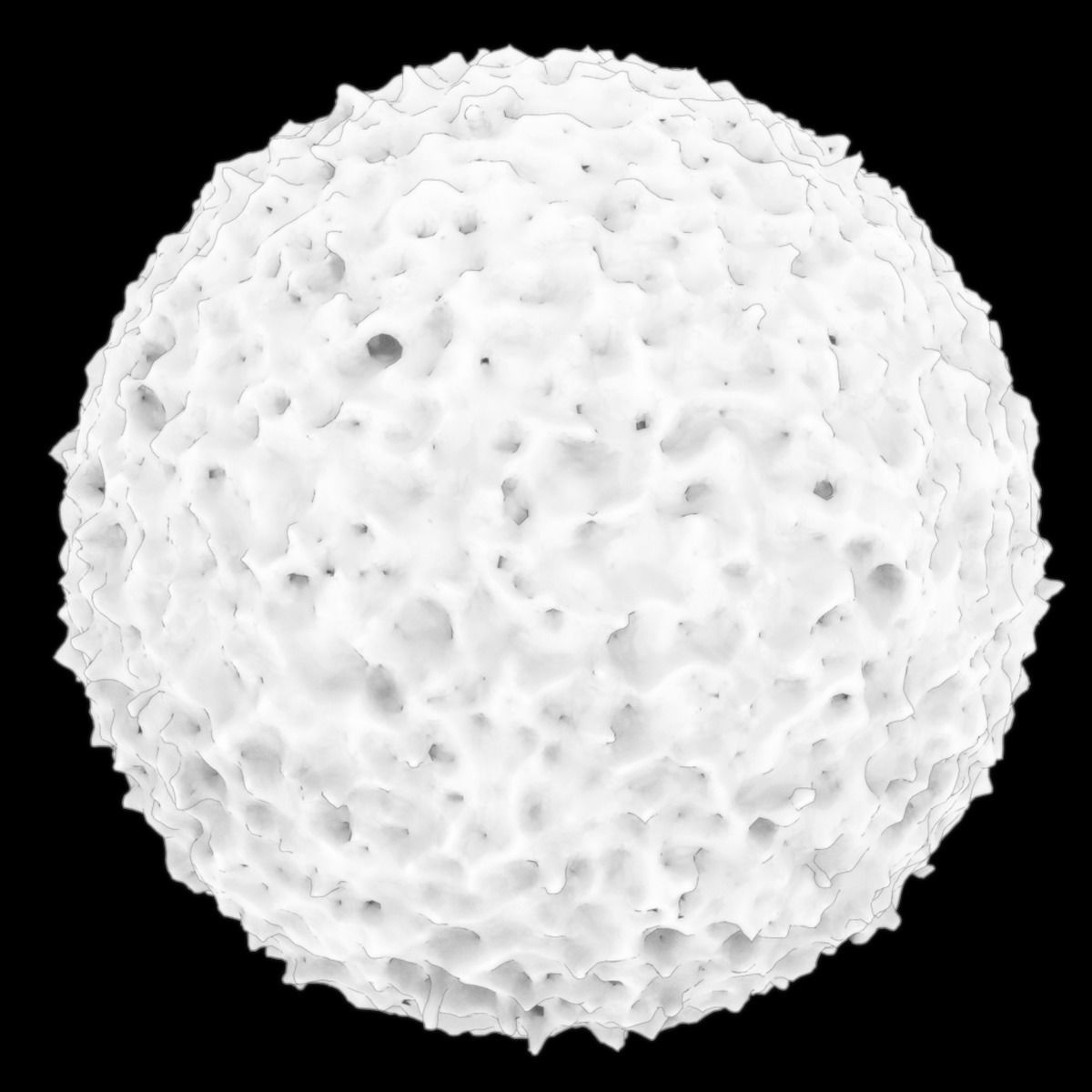 Lymphocyte ball 3D model_11
