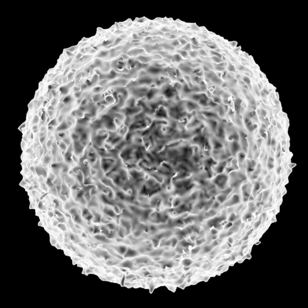 Lymphocyte ball 3D model_10