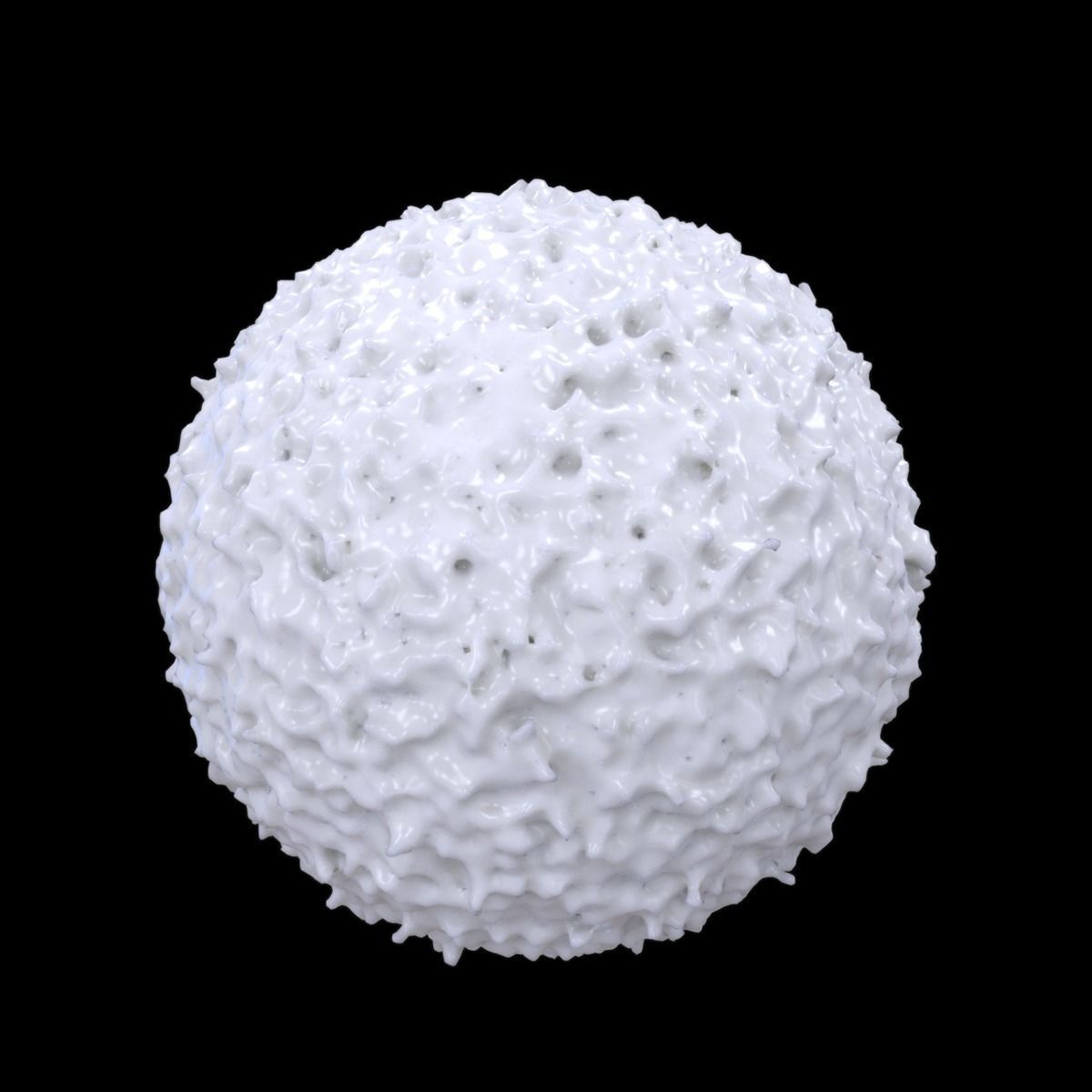 Lymphocyte ball 3D model_3