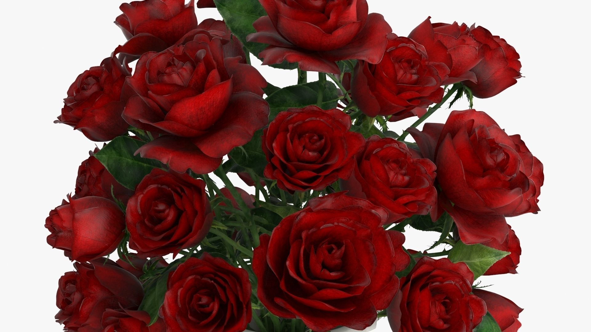 Bouquet Flowers Collection _8