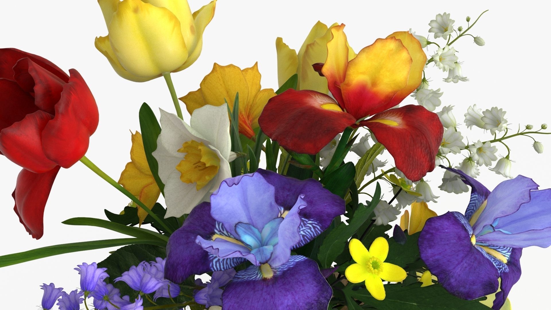 Bouquet Flowers Collection _27