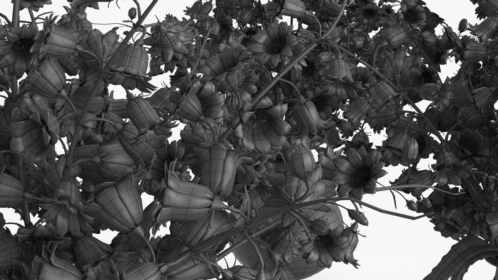 Bouquet Flowers Collection _19