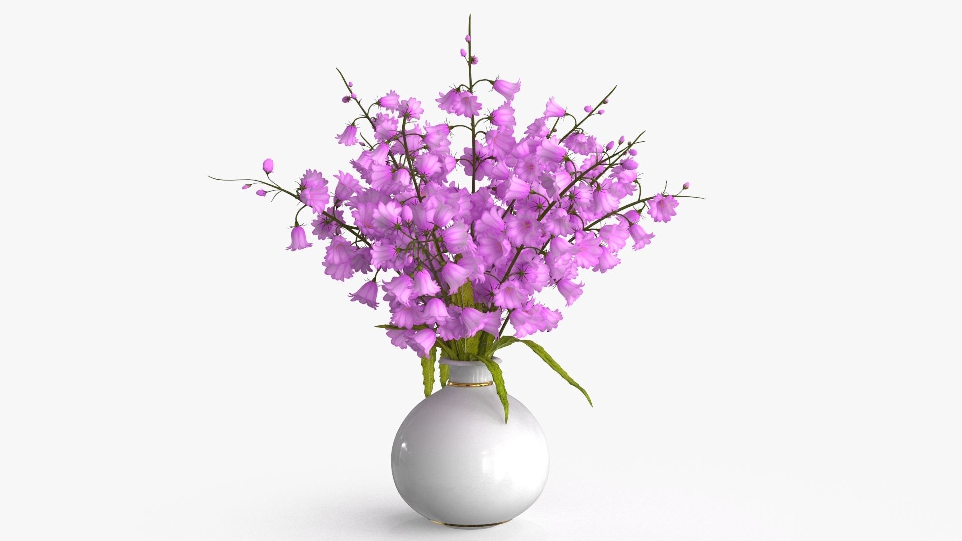 Bouquet Flowers Collection _16