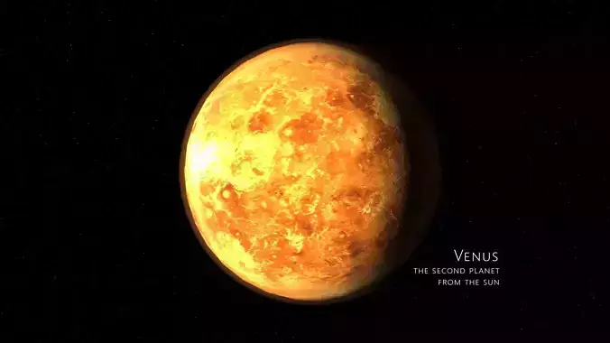 venus 3d max corona rander 3D model