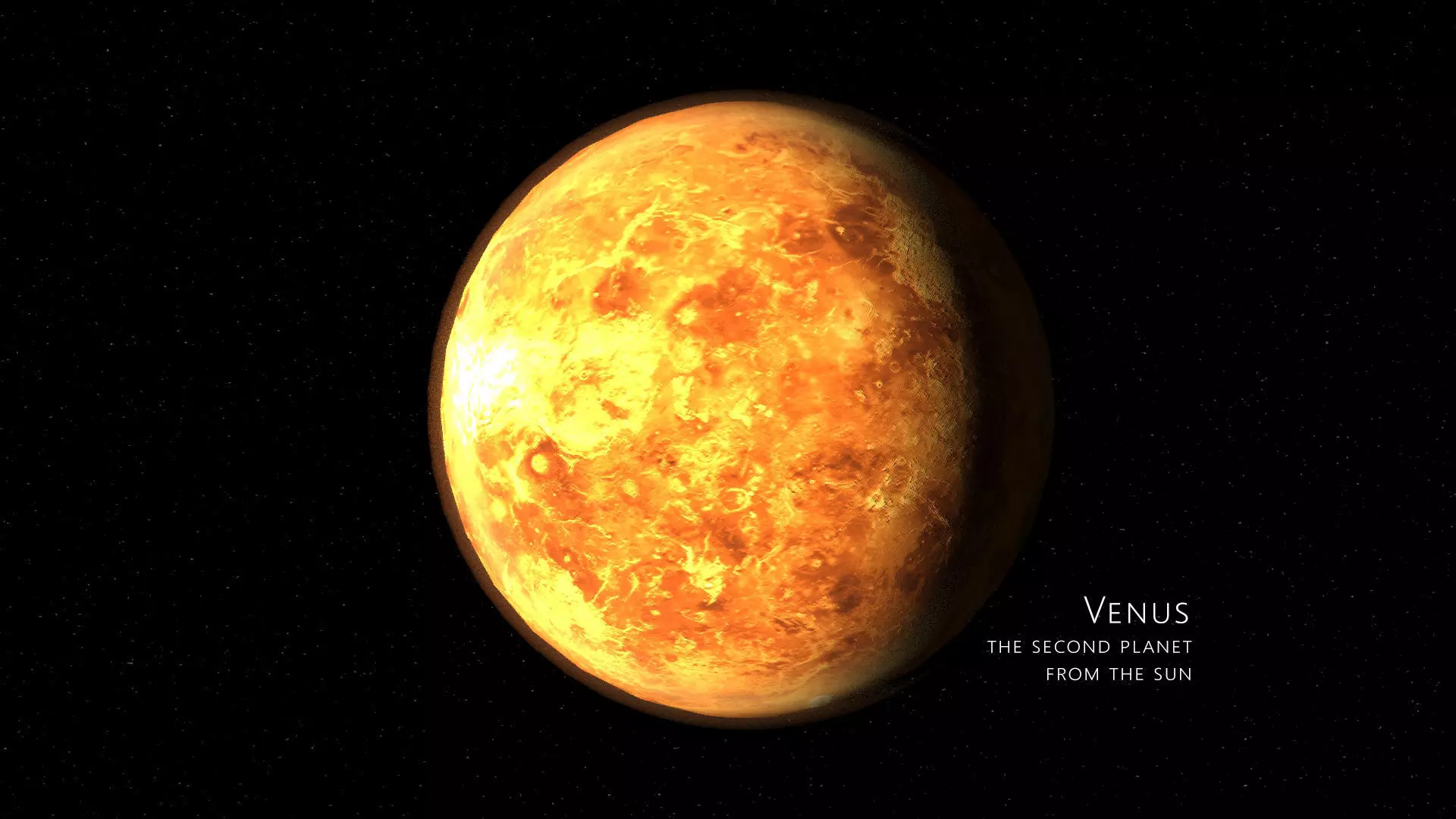 venus 3d max corona rander 3D model_0