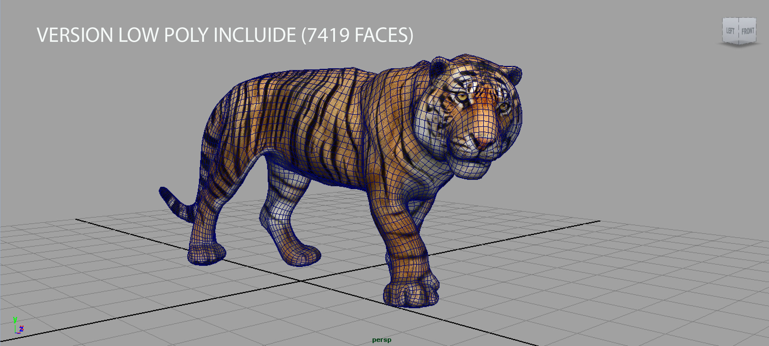 TIGER Low-poly 3D model_8