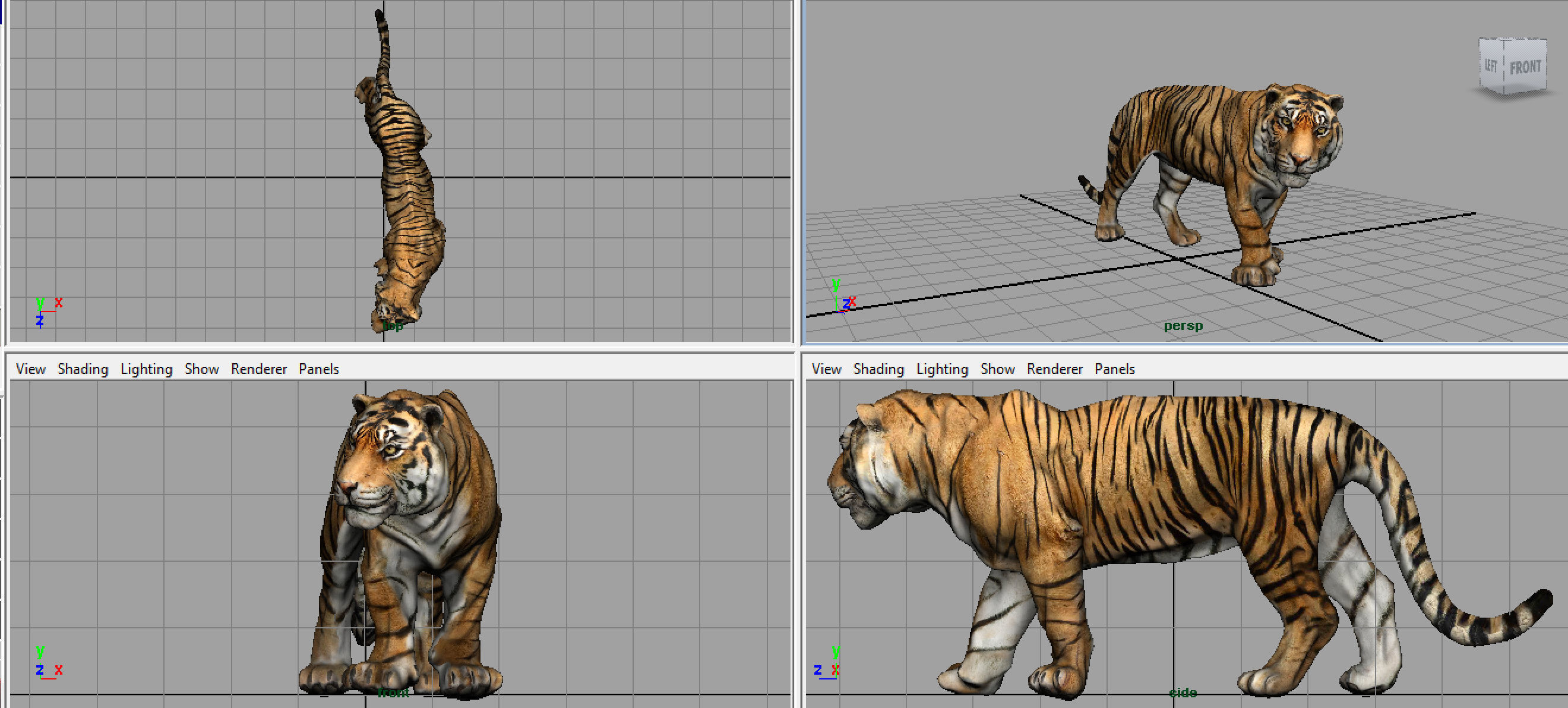 TIGER Low-poly 3D model_9
