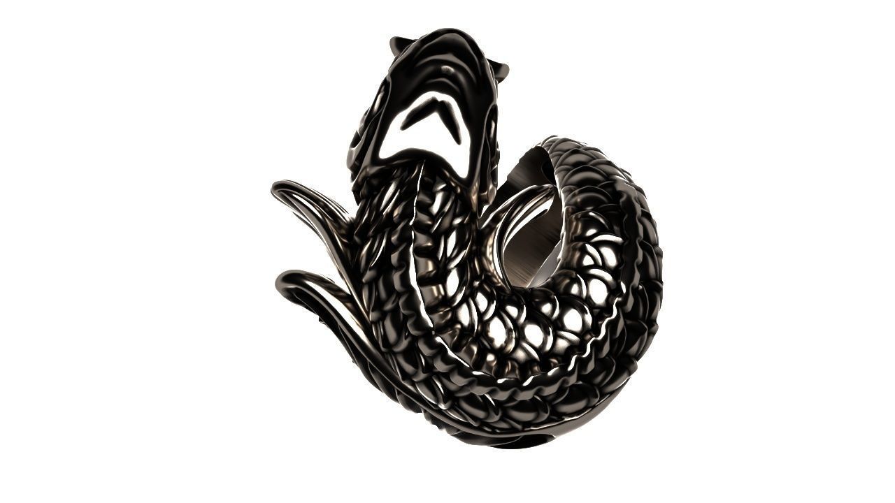 Fish ring carp 3D print model_5