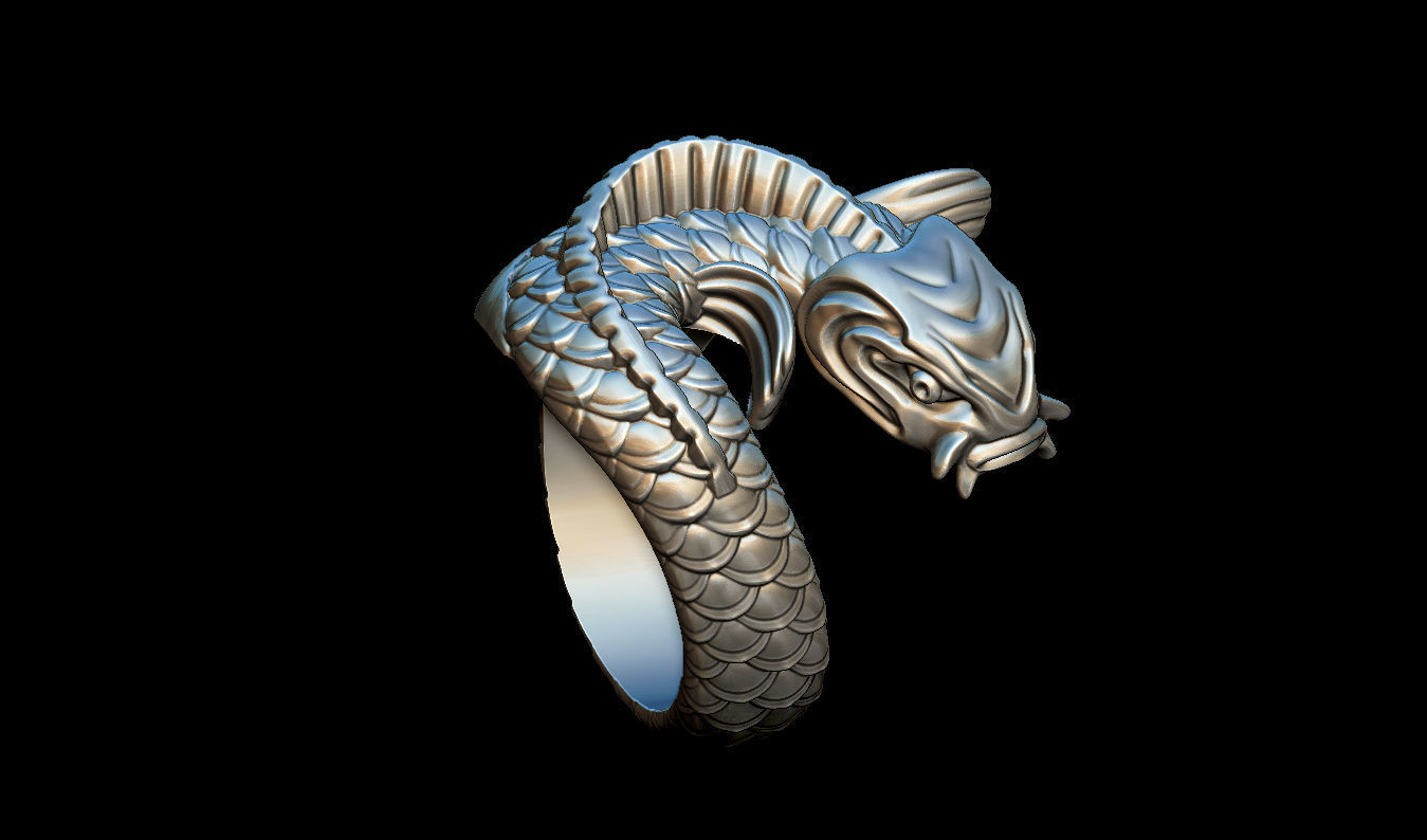 Fish ring carp 3D print model_6