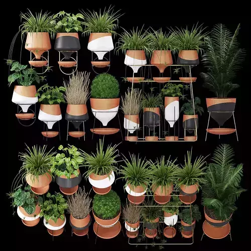 Clay collection potted plants in shapes and sizes