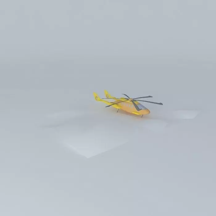 RD Arctic Flyer Free 3D model_0