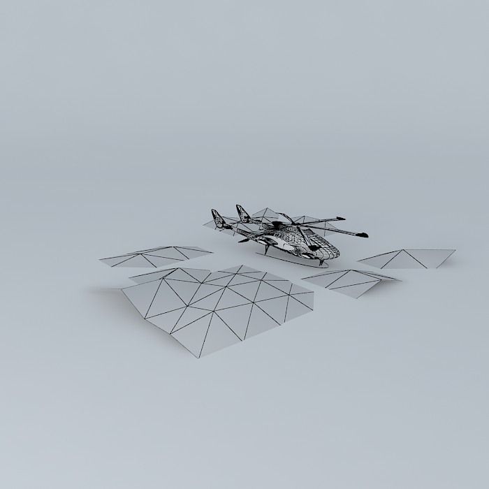 RD Arctic Flyer Free 3D model_3