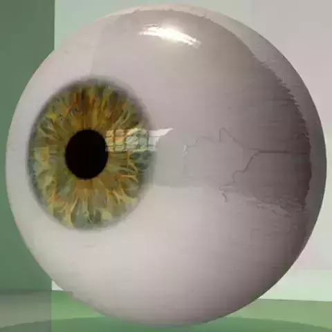 Realistic Human Eye
