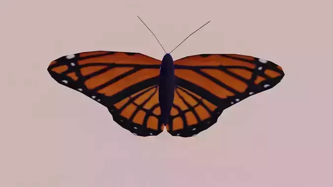 Rigged Low Poly Butterfly Free low-poly 3D model
