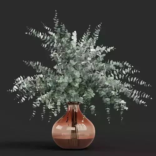 Eucalyptus cinerea vase