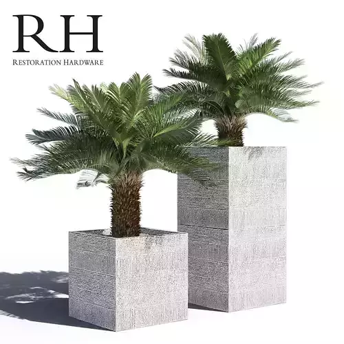 Artificial Cycas Palm in RH pot 3D model