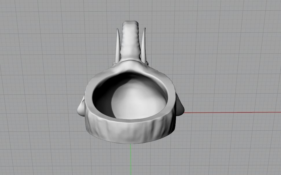 Elephant ring 3D print model_7