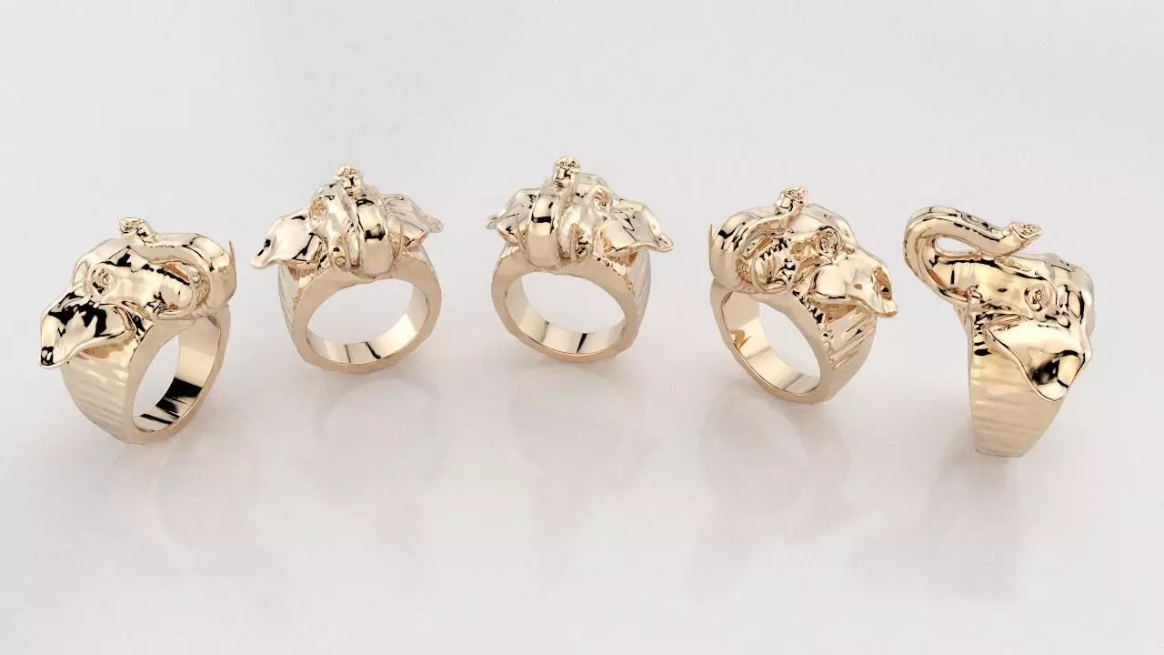 Elephant ring 3D print model_0