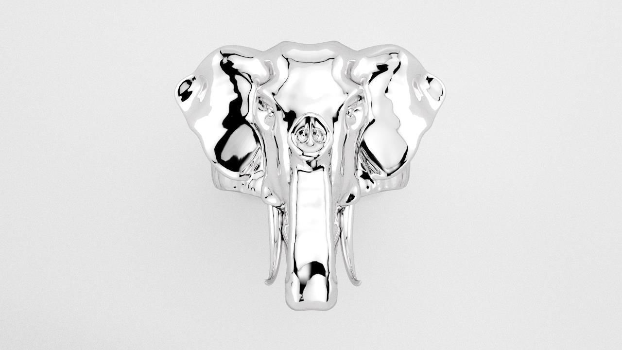 Elephant ring 3D print model_14