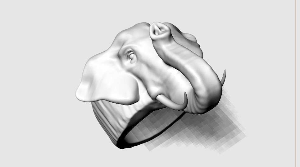 Elephant ring 3D print model_1