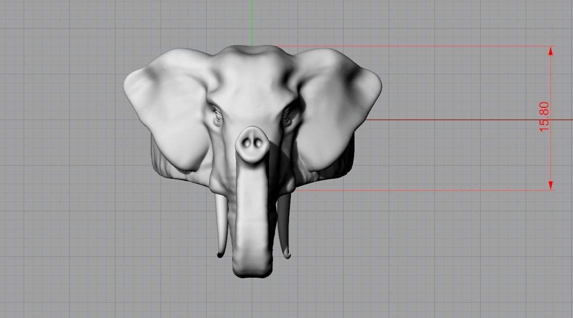 Elephant ring 3D print model_5