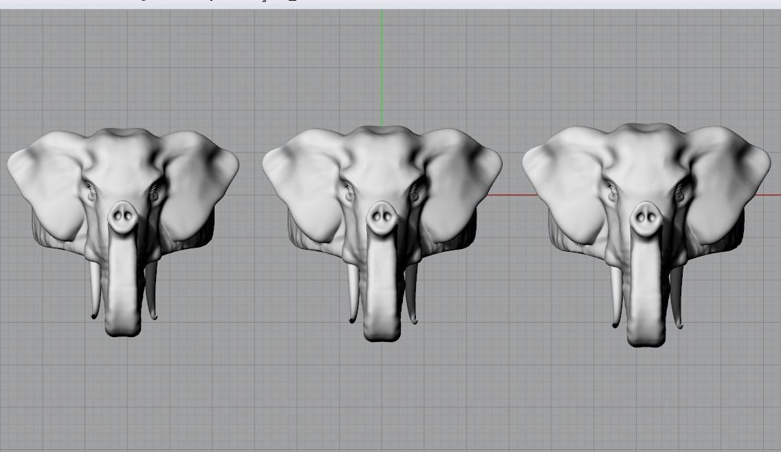 Elephant ring 3D print model_8