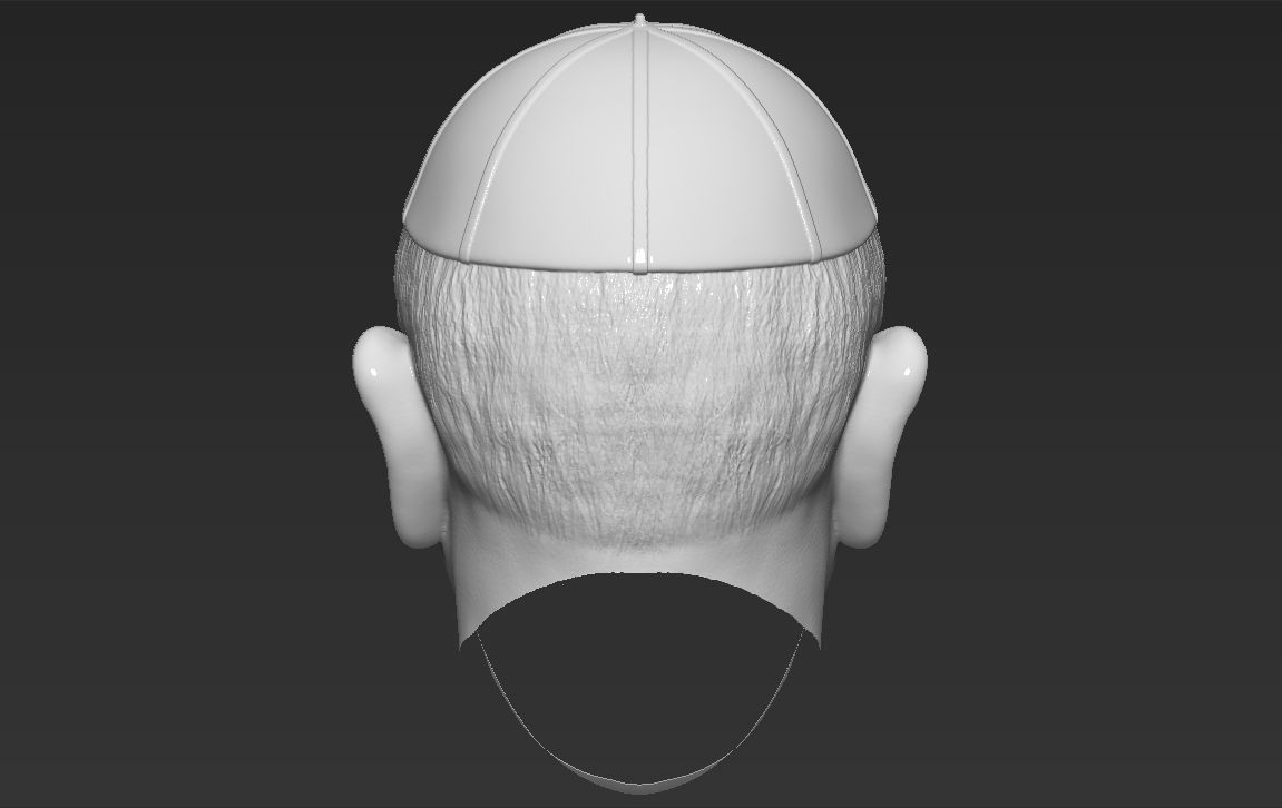 Pope Francis 3D model_26