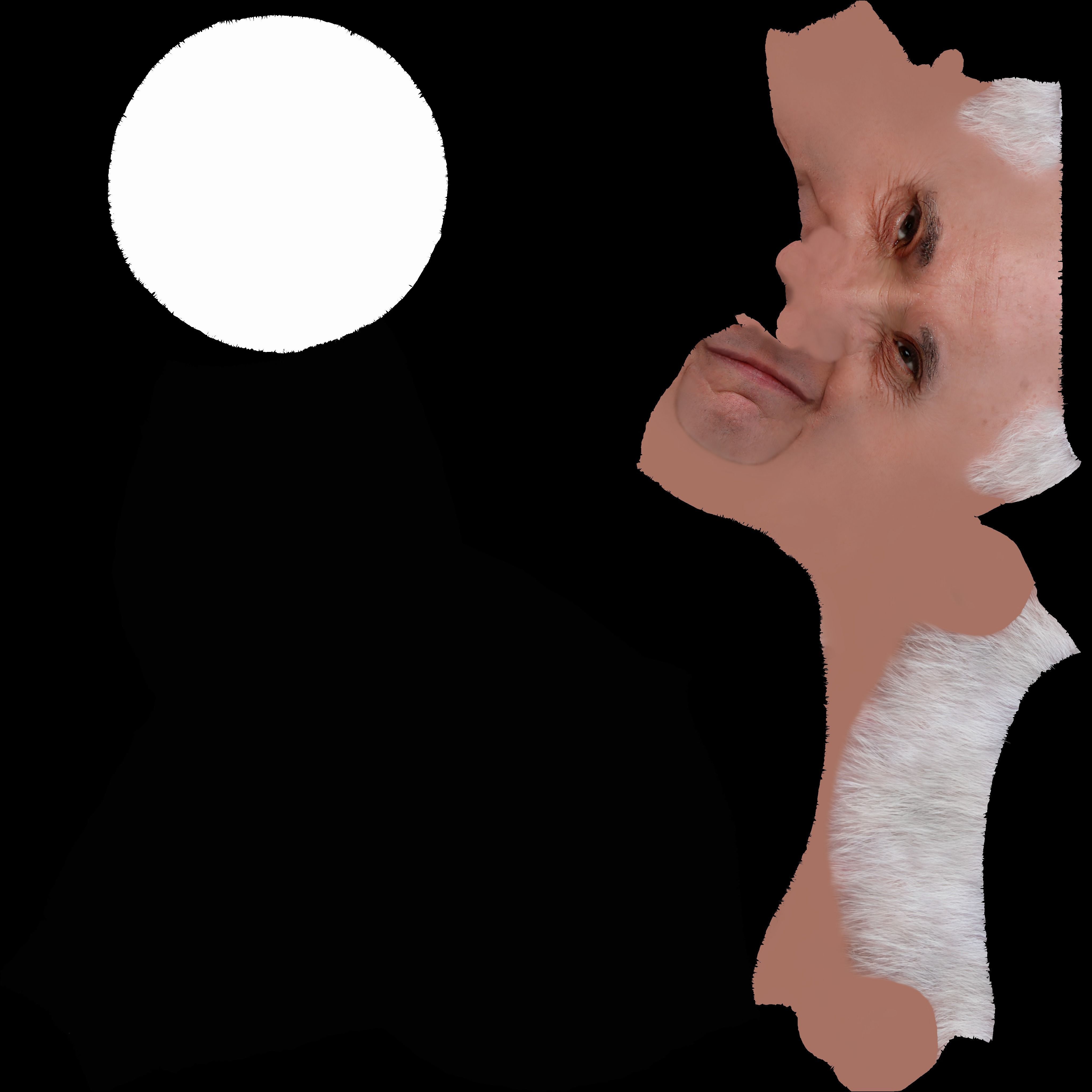 Pope Francis 3D model_46