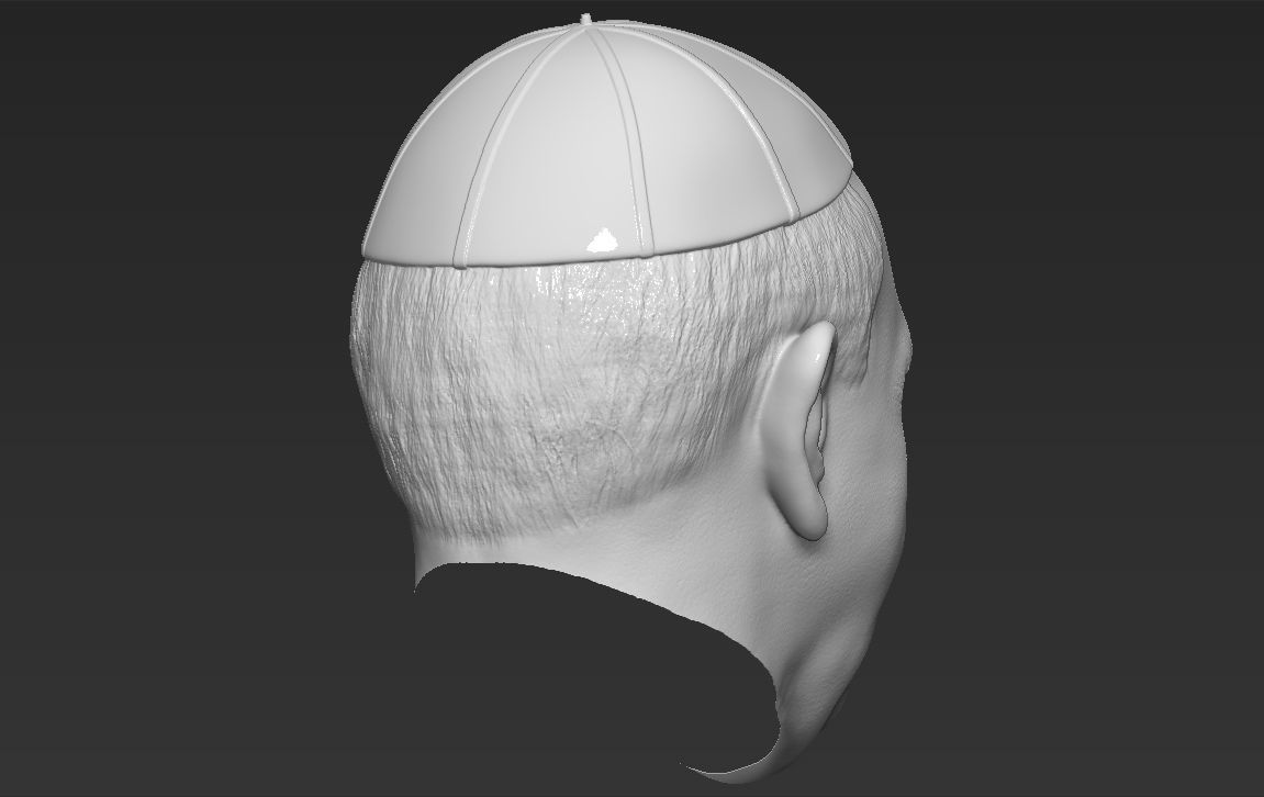 Pope Francis 3D model_27