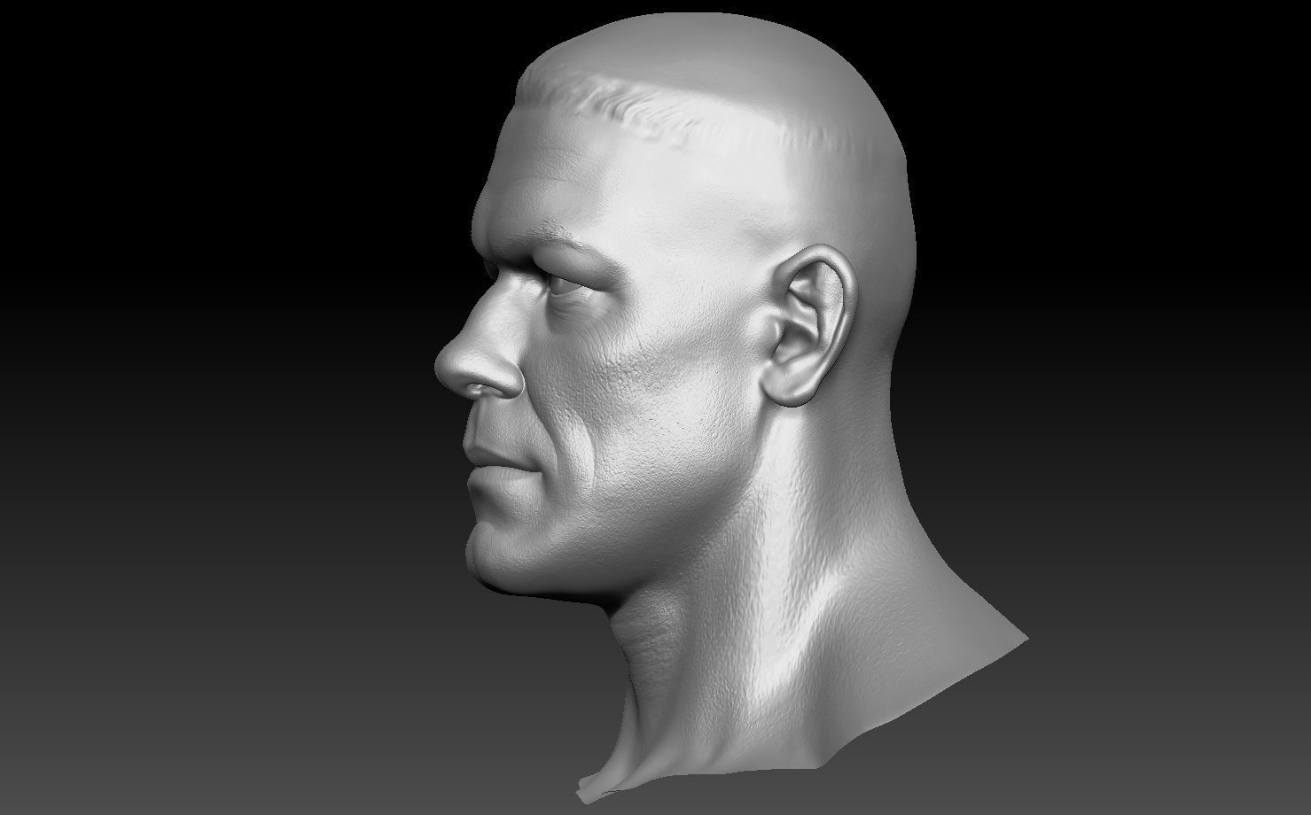John Cena Bust and  action figure head 3D print model_5