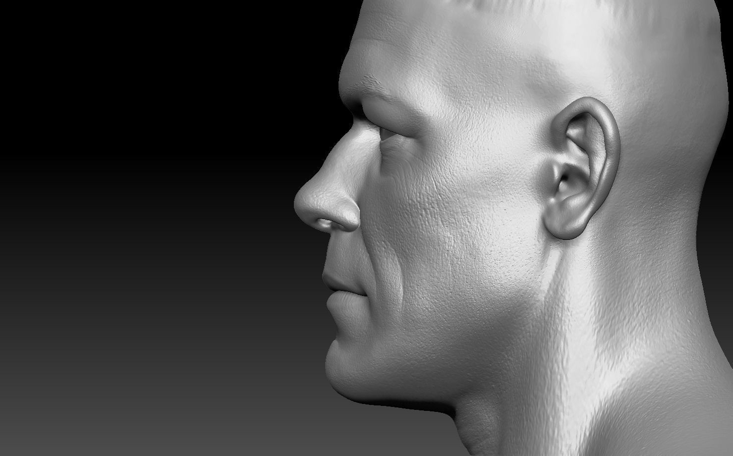 John Cena Bust and  action figure head 3D print model_6