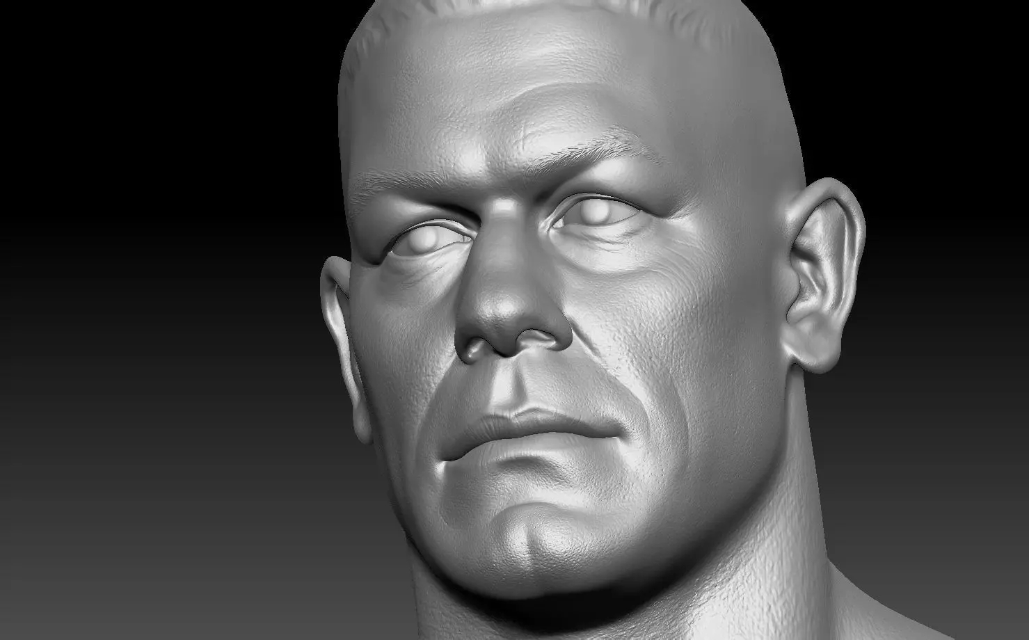 John Cena Bust and  action figure head 3D print model_0
