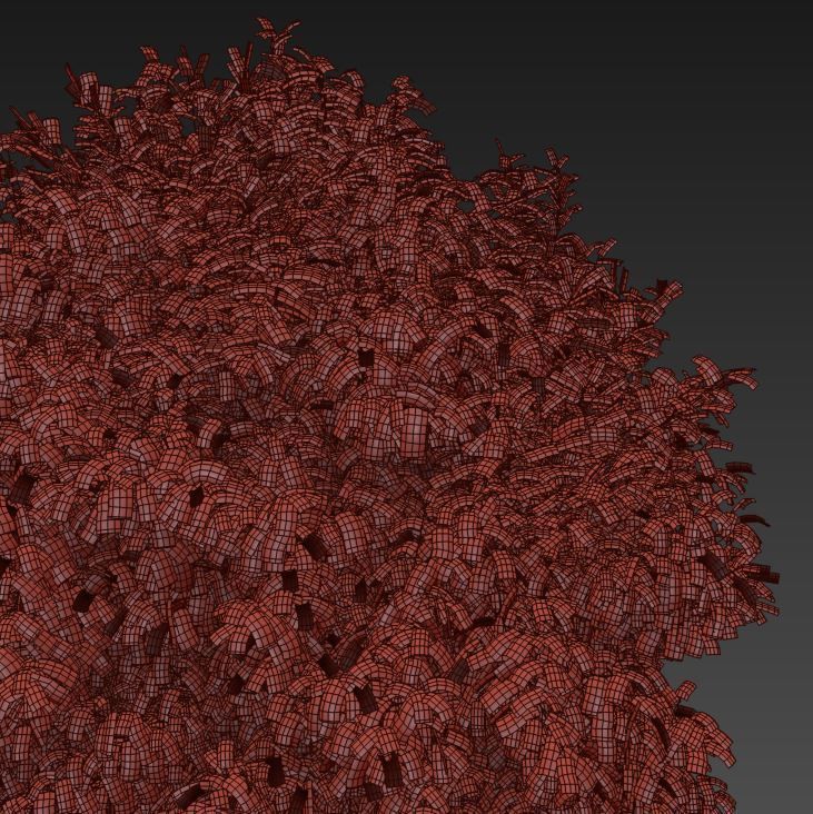 Maple 4 tree in autumn 3D model_6