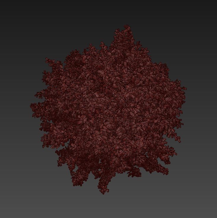 Maple 4 tree in autumn 3D model_5