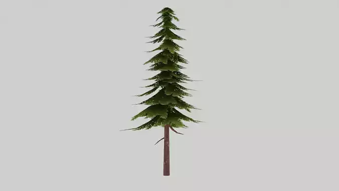 Stylized Pine Tree Low-poly 3D model