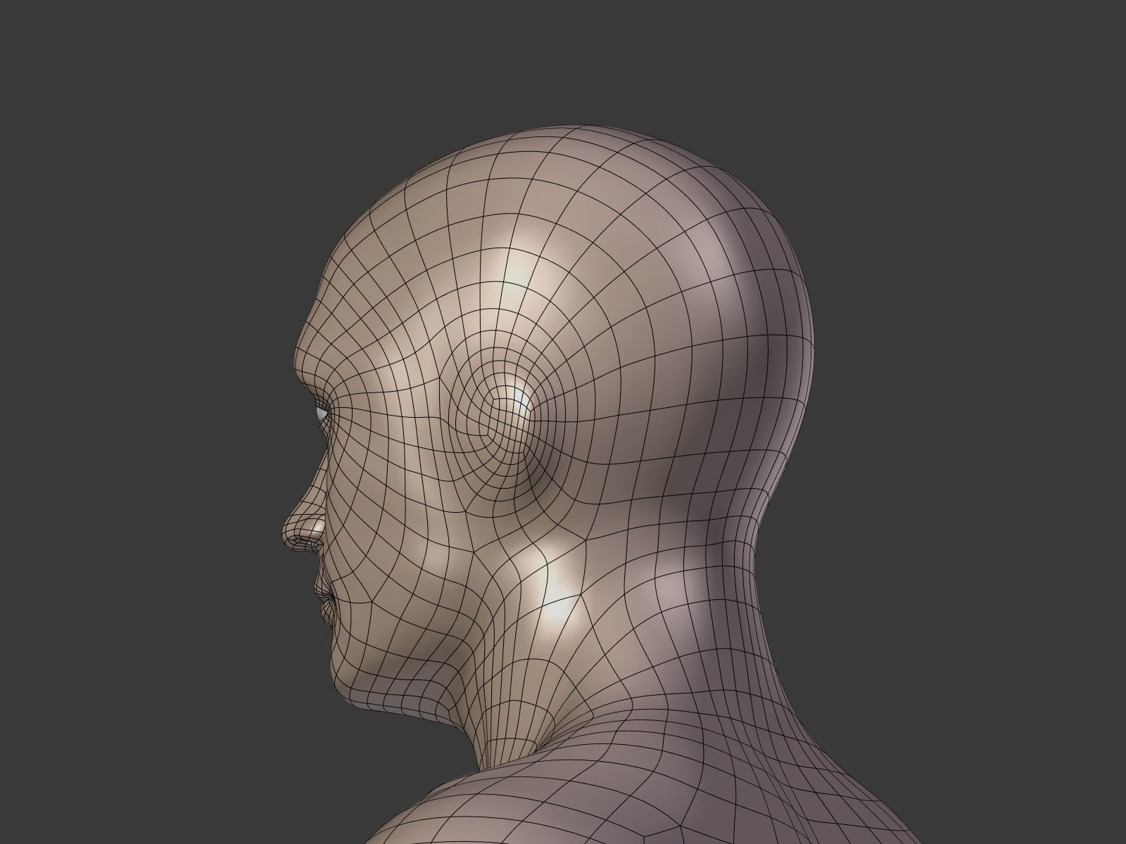 Scuba Diver Low-poly 3D model_28