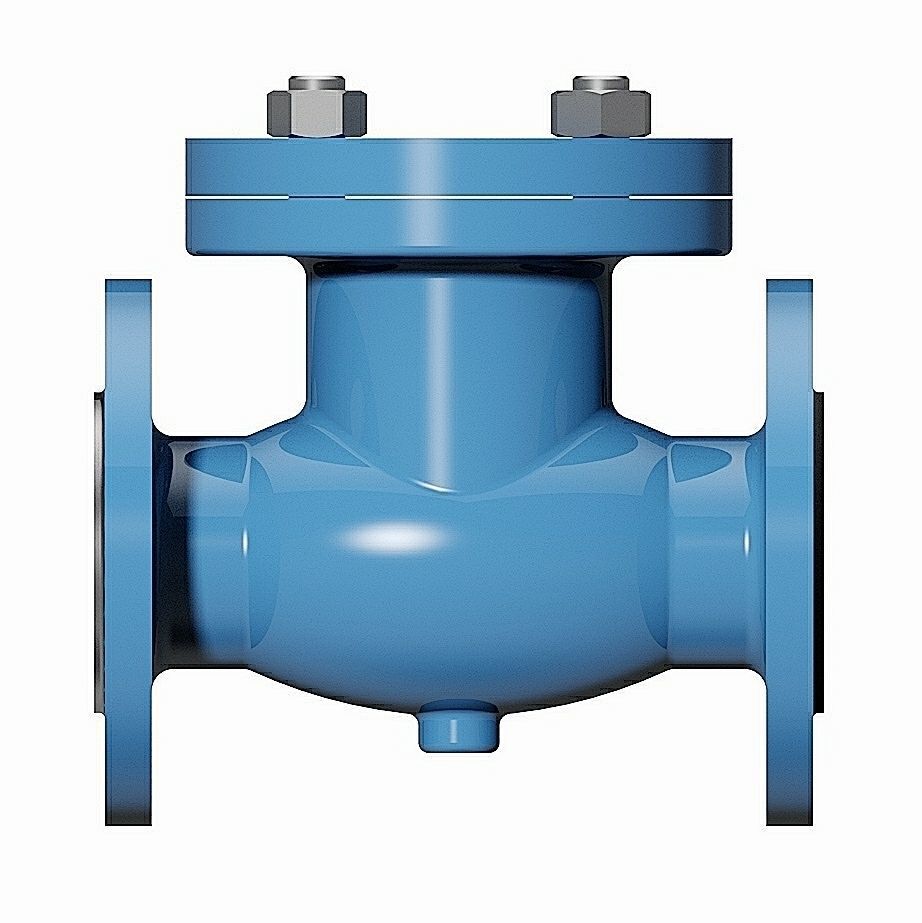 Swing Type Check Valves - DIN Flanged Ends -  3D model_1