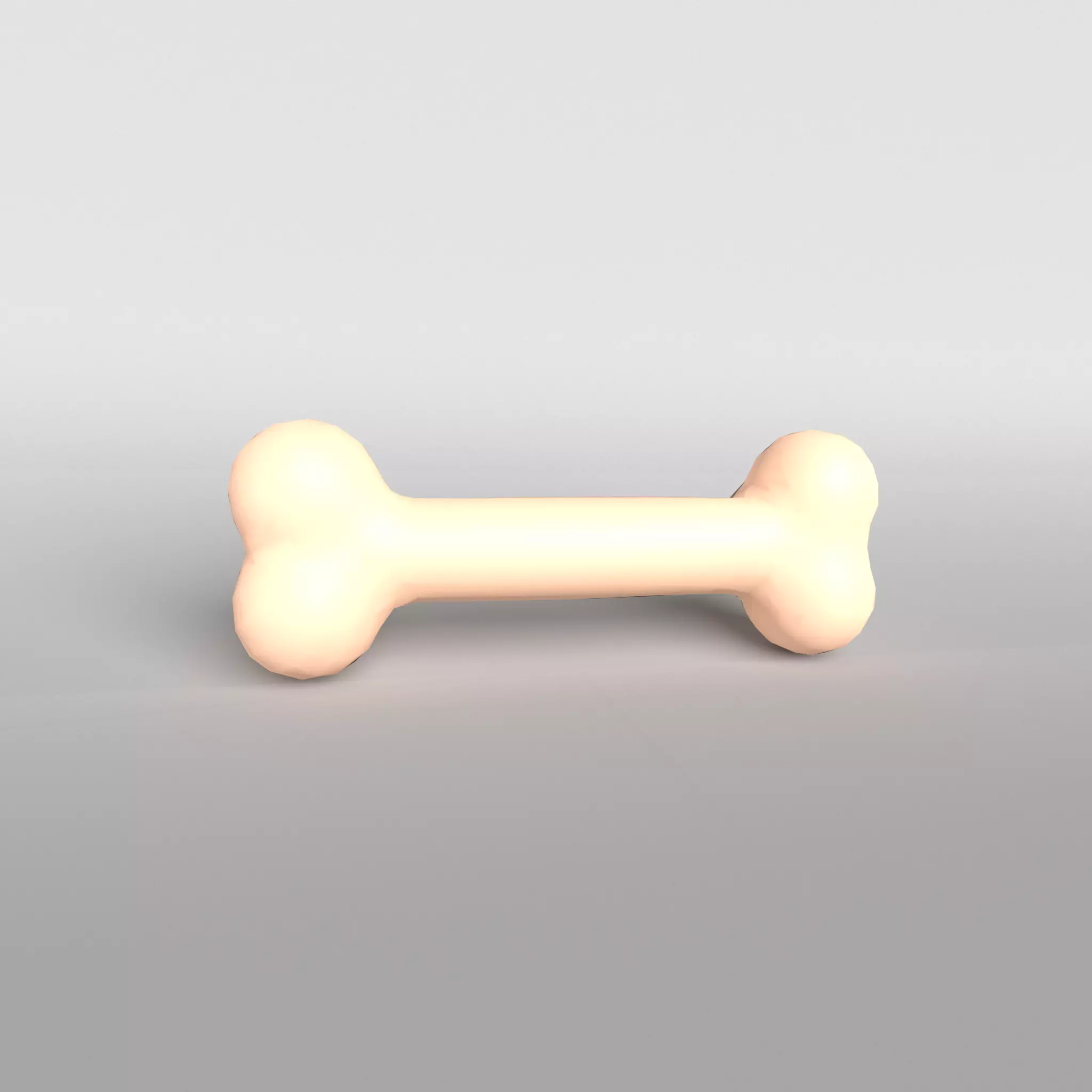 Bone v1 002 Low-poly 3D model_0
