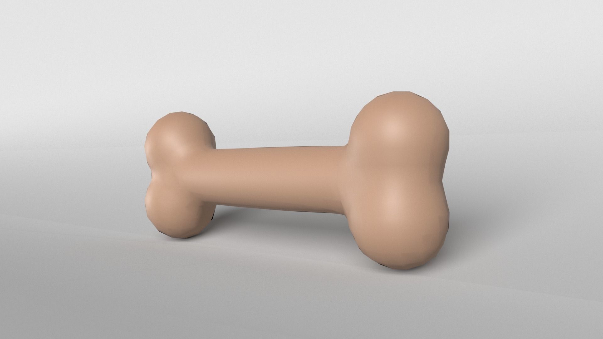 Bone v1 003 Low-poly 3D model_3