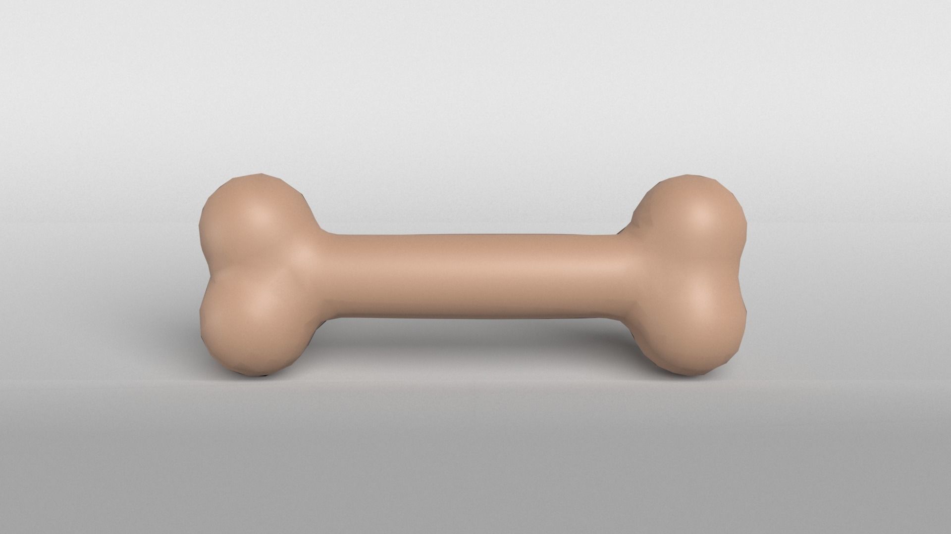 Bone v1 003 Low-poly 3D model_2