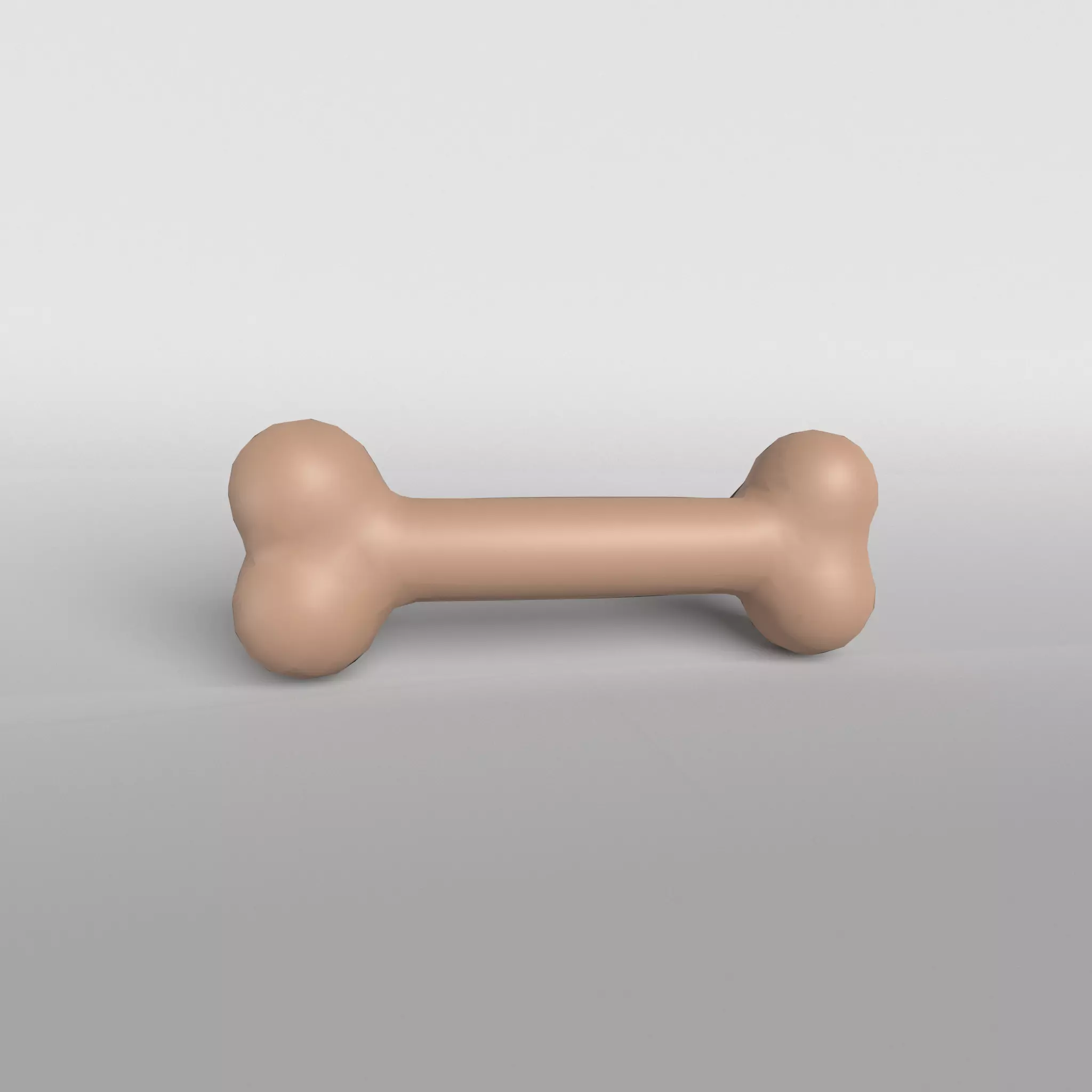 Bone v1 003 Low-poly 3D model_0