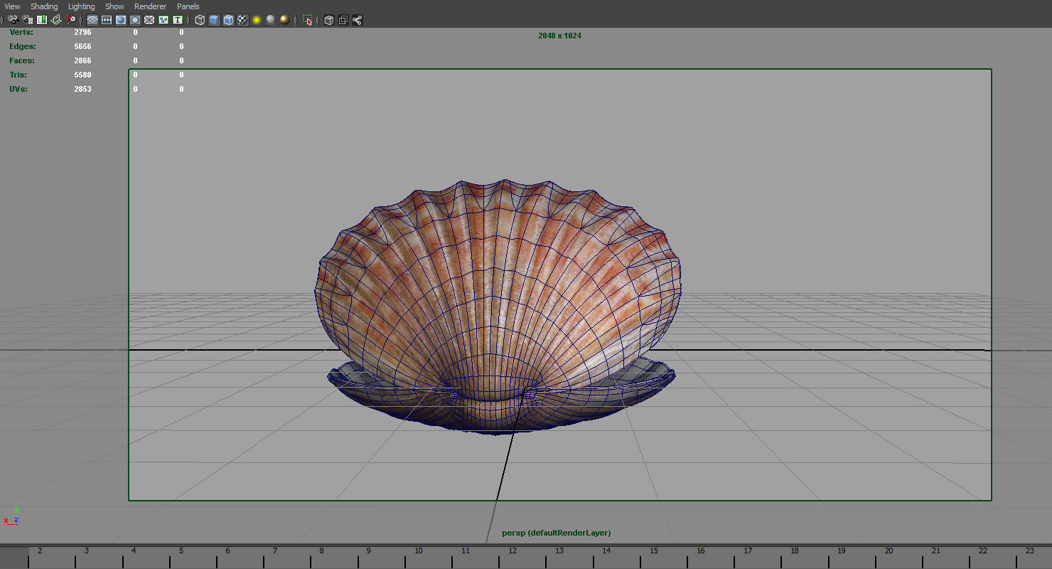 ocean pearl shell 3d model 3D model_3