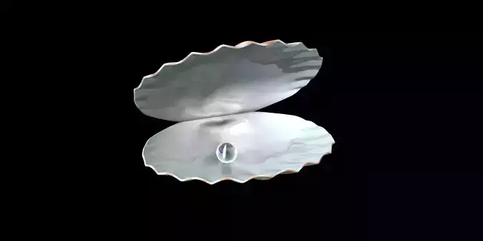 ocean pearl shell 3d model