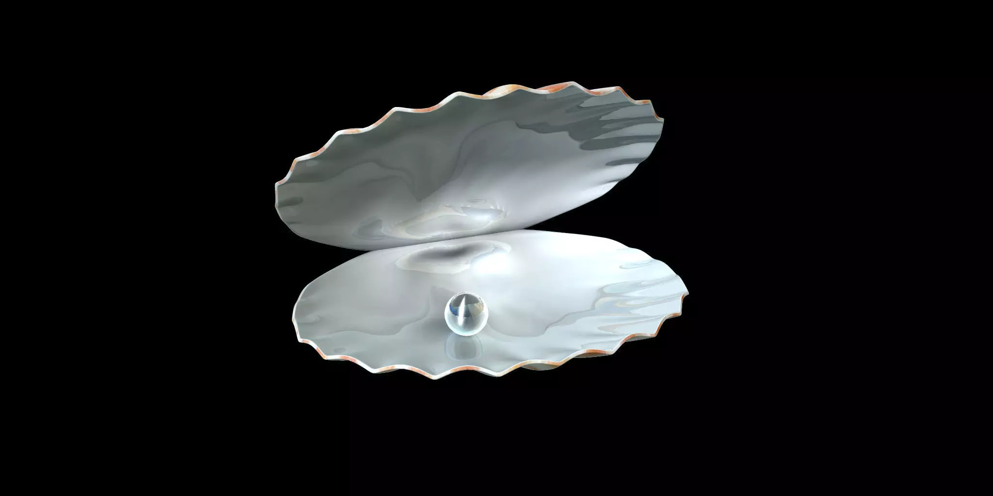 ocean pearl shell 3d model 3D model_0