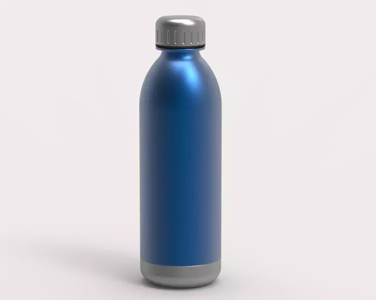 Hot Water Flask 3D print model_0