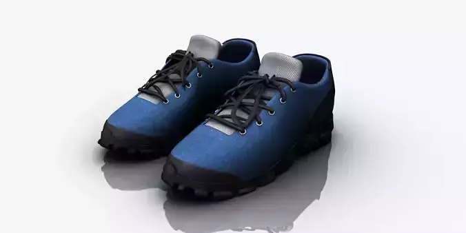 shoe 3d model pair of shoes